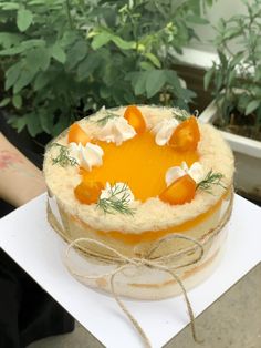 a cake sitting on top of a white plate next to a potted green plant