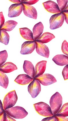 watercolor painting of pink and yellow flowers on a white background, seamless pattern