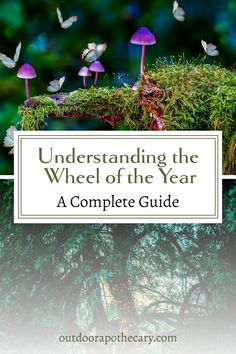 mushrooms and grass with the words, understanding the wheel of the year a complete guide