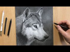 someone is drawing a wolf with colored pencils