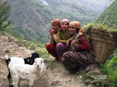 three people sitting on the side of a mountain next to a dog and a basket