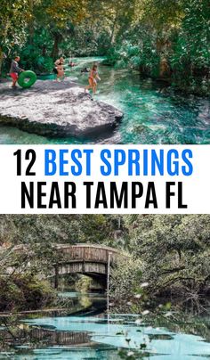 Best Natural Springs to Visit Near Tampa Natural Springs In Florida, Beaches Near Orlando, Springs In Florida, Ginnie Springs, Orlando Springs, Orlando Florida Vacation, Kelly Park, Florida Keys Beaches