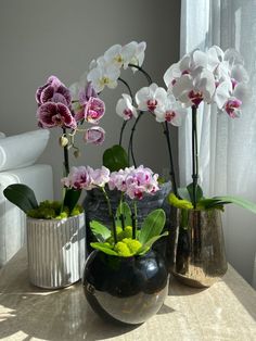 three vases filled with different types of flowers on a table next to a window