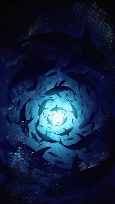 a large group of fish swimming in the ocean at night with blue light coming from it's center