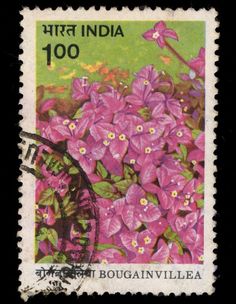 a stamp with pink flowers on it and the words india 100 written in front of it