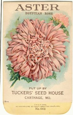 a close up of a flower on a card with the words, but urby