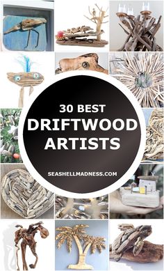 the words 30 best driftwood artists are in front of pictures of wooden objects and trees