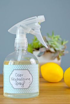 a bottle of soap sitting on top of a table next to lemons and a potted plant