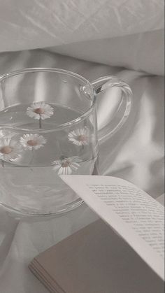 a glass tea cup and saucer with daisies on the rim next to a book