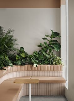 there is a bench with plants on the wall behind it and a table in front of it