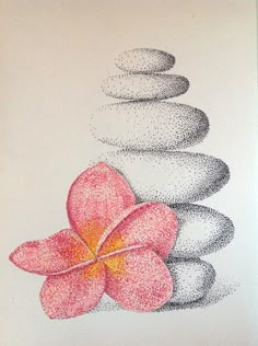 a pink flower sitting on top of a pile of rocks