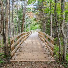 a wooden bridge in the middle of a forest