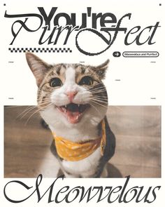 the front cover of you're perfect magazine with a cat wearing a bandana