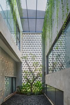 an indoor courtyard with plants growing on the walls and floor, surrounded by concrete blocks