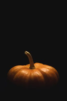 an orange pumpkin on a black background