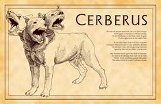 an image of two dogs with their mouths open and the words cerberus above them