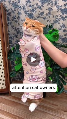 an orange cat is wearing a pink pajamas and holding it's head in the air