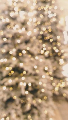 a white christmas tree with lights in the background