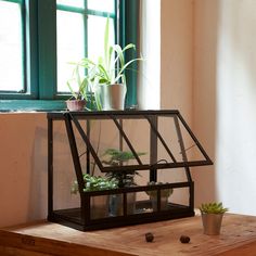 a glass house with plants in it sitting on a wooden table next to a window