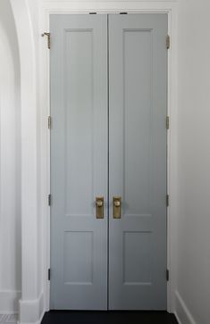 two gray doors with brass handles in a white room next to a black carpeted floor