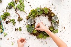 someone is making a wreath with succulents and dirt on the table next to them