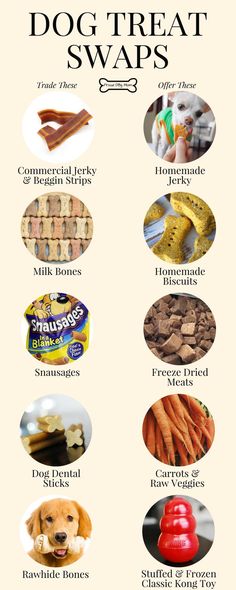 a poster with different types of dog treats