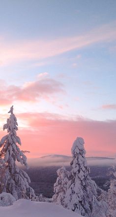 the sun is setting over some snow covered trees and mountain tops in the distance, with a pink sky