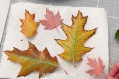 four different colored leaves on a napkin