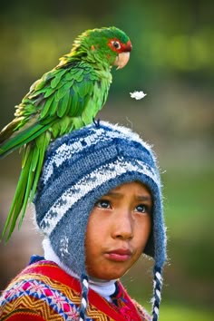 a young boy with a parrot on his head