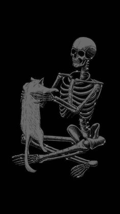 a skeleton sitting on top of a cat