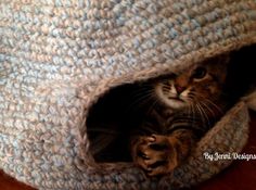 a cat is hiding in a crocheted blanket