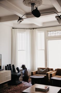 a living room filled with furniture and a dog sitting on top of the couches