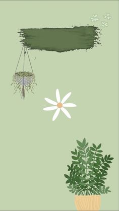 two potted plants and one hanging planter on a green background with the words,