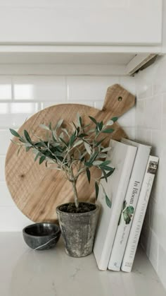 a potted plant sitting on top of a counter next to books and a cutting board