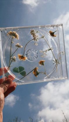 a person holding up a clear cd case with flowers in the middle and sky behind it