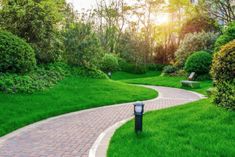 a path in the middle of a lush green park