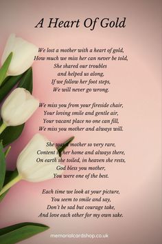 two white tulips are in front of a pink background with the words, a heart of gold