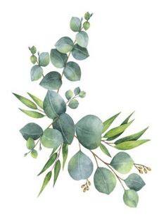 watercolor painting of green leaves and branches