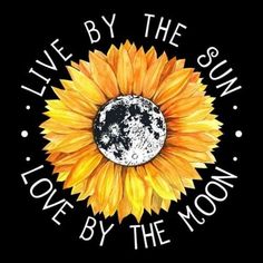 a sunflower with the words live by the sun love by the moon