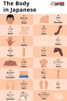 the body in japanese with different types of hands and feet, including one for each hand