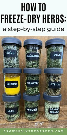 jars filled with herbs and labeled how to freeze - dry herbs