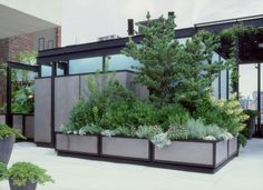 an outdoor area with plants and trees in the center, along with other planters