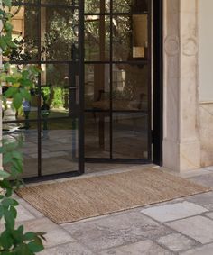 an entrance door with glass panels and a rug on the ground in front of it