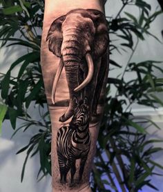 an elephant and zebra tattoo on the leg