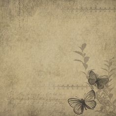 two butterflies are sitting on the edge of a piece of paper that has been drawn with ink