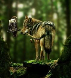 a wolf and an owl are standing in the woods with one bird on it's shoulder