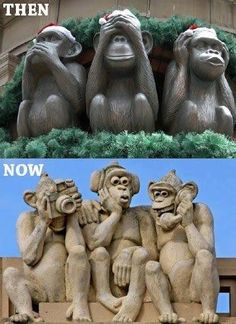 three monkeys sitting next to each other on top of a stone structure with the caption,