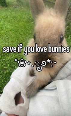 a person holding a rabbit in their lap with the words save if you love bunnies