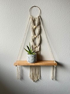 a potted plant sitting on top of a wooden shelf next to a white wall