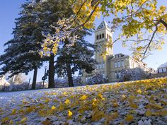 snow covers the ground and trees in front of a large building with a clock tower